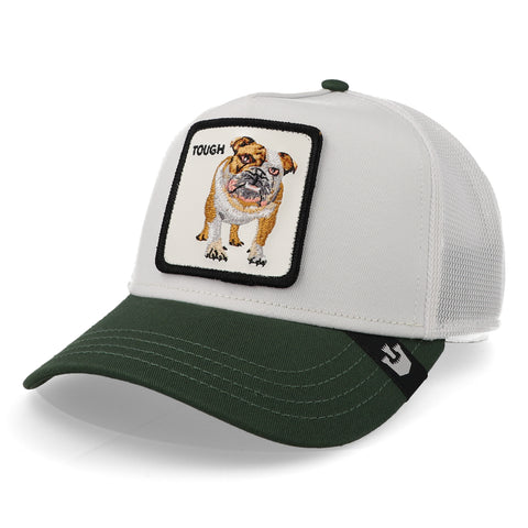 Gorra Goorin Bros V2 Bulldog Platino Unitalla