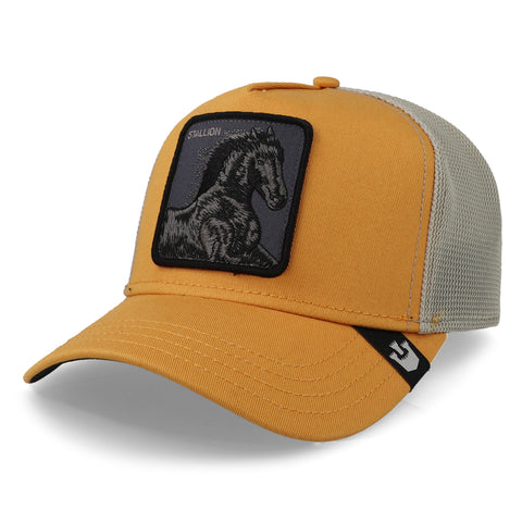 Gorra Goorin Bros V2 Stallion Amarillo Unitalla