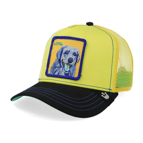 Gorra Goorin Bros Doggy Trip Amarilla Unitalla