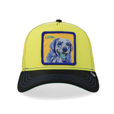 Gorra Goorin Bros Doggy Trip Amarilla Unitalla