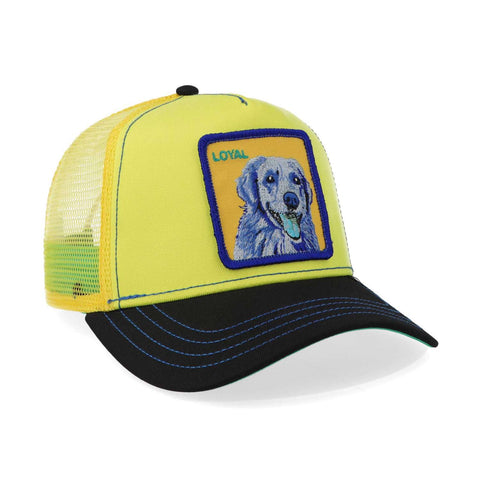 Gorra Goorin Bros Doggy Trip Amarilla Unitalla