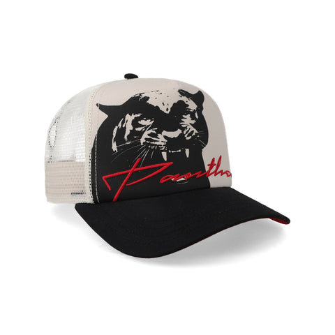 Gorra Goorin Bros Outside The Lines Panther Unitalla