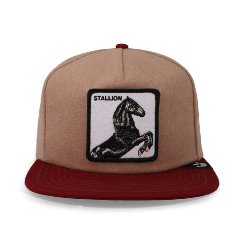 Gorra Goorin Bros Free Rider Tan Unitalla