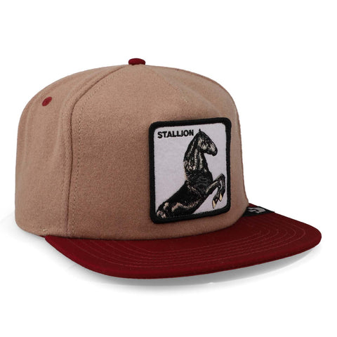 Gorra Goorin Bros Free Rider Tan Unitalla