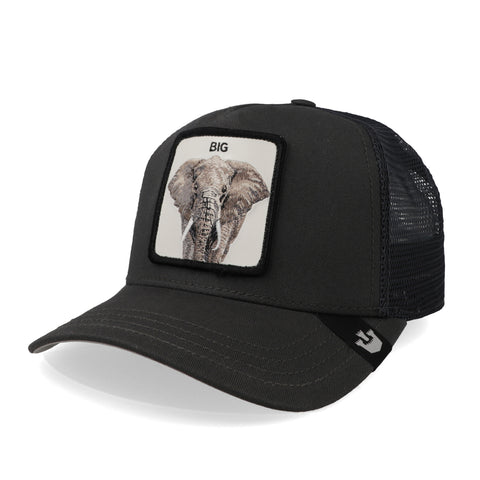 Gorra Goorin Bros The Big Elephant Carbón Unitalla