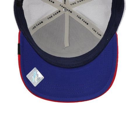 Gorra Goorin Bros V2 Whale Marfil Unitalla