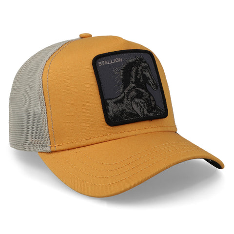 Gorra Goorin Bros V2 Stallion Amarillo Unitalla