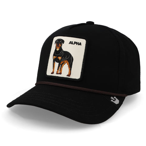 Gorra Goorin Bros Alpha Dog 100 Negro Unitalla