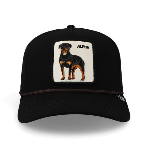 Gorra Goorin Bros Alpha Dog 100 Negro Unitalla