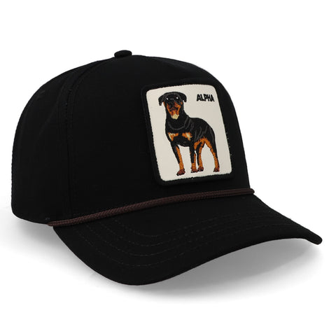 Gorra Goorin Bros Alpha Dog 100 Negro Unitalla