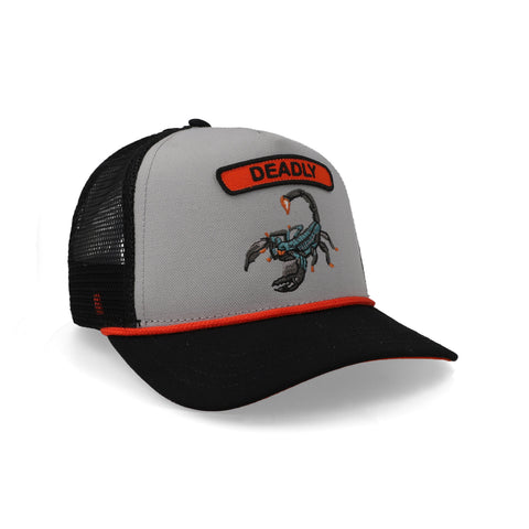 Gorra Goorin Bros Pop Rocker Scorpion Unitalla