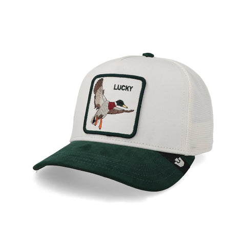 Gorra Goorin Bros Suede Duck Unitalla
