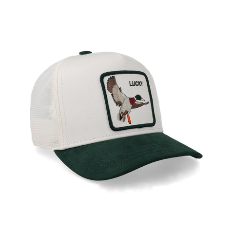 Gorra Goorin Bros Suede Duck Unitalla