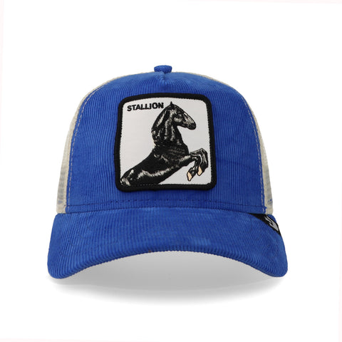 Gorra Goorin Bros Sly Stallione Azul Unitalla