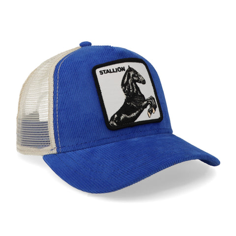 Gorra Goorin Bros Sly Stallione Azul Unitalla