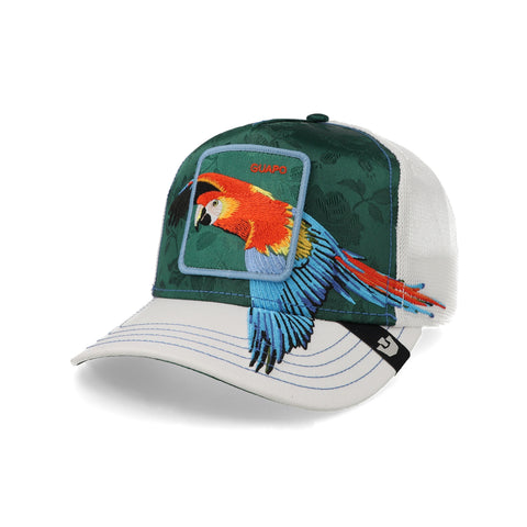 Gorra Goorin Bros Honduras Macaw Unitalla