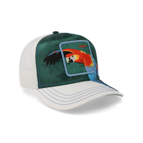 Gorra Goorin Bros Honduras Macaw Unitalla