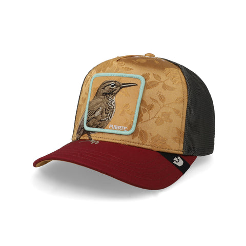 Gorra Goorin Bros Costa Rica Thrush Unitalla