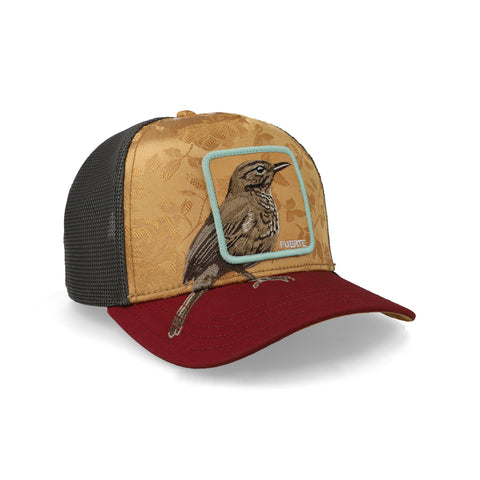 Gorra Goorin Bros Costa Rica Thrush Unitalla