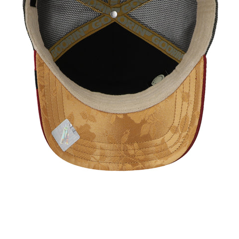 Gorra Goorin Bros Costa Rica Thrush Unitalla