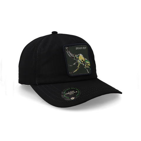 Gorra Goorin Bros Brain Rot Beetle Unitalla